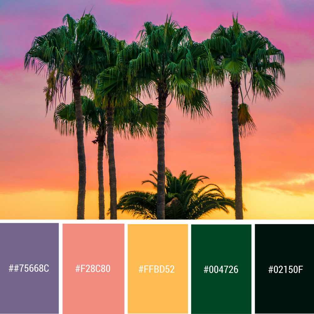 8 Beach Themed Color Palettes | Strong Virtual Support